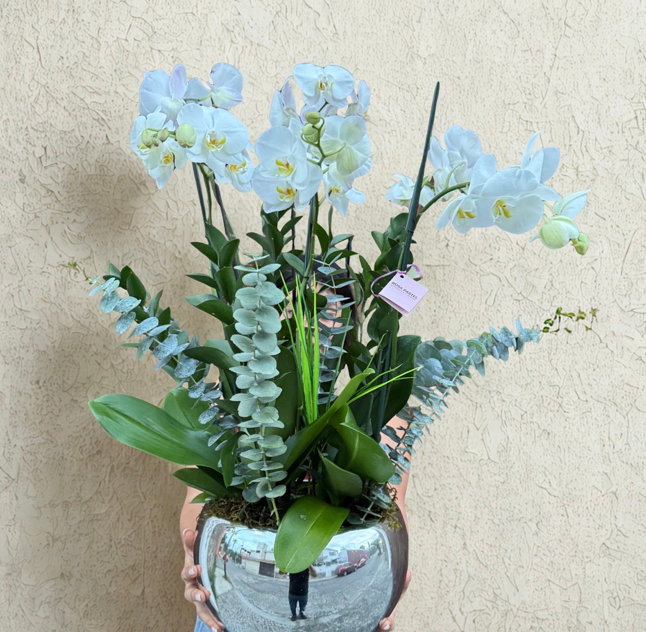 Orquídeas dobles con follajes
